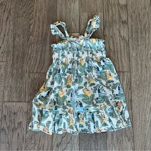 Bluey 4t dress